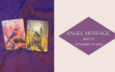 Angel Card Reading for November 23rd–29th